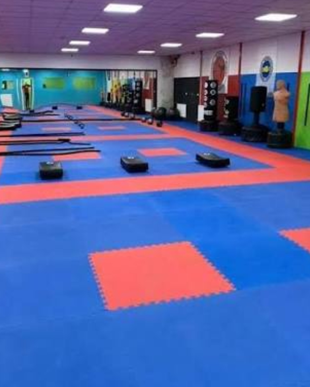 MMA Mat